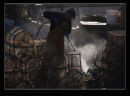 image for article